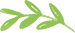 Contact logo leaf new
